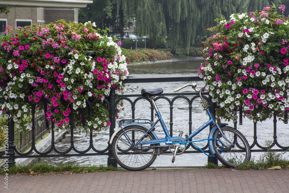 Blue small bike on the pavement near two flowerbed with pink and white flowers near the river
