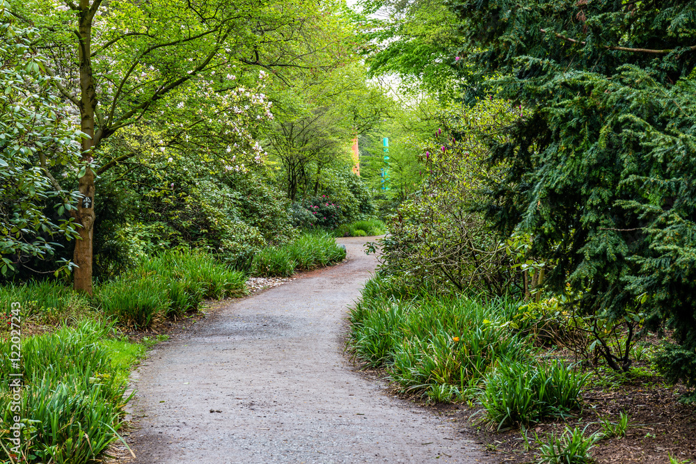 Path Path