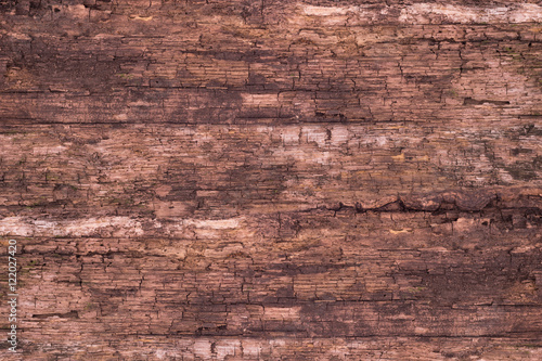 old wood background.