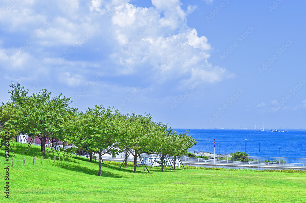 Fototapeta premium 太陽と青空と雲