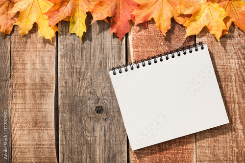 Autumn background