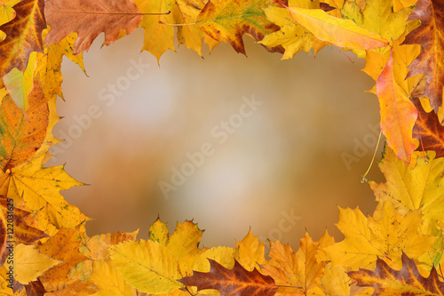 autumn background with frame