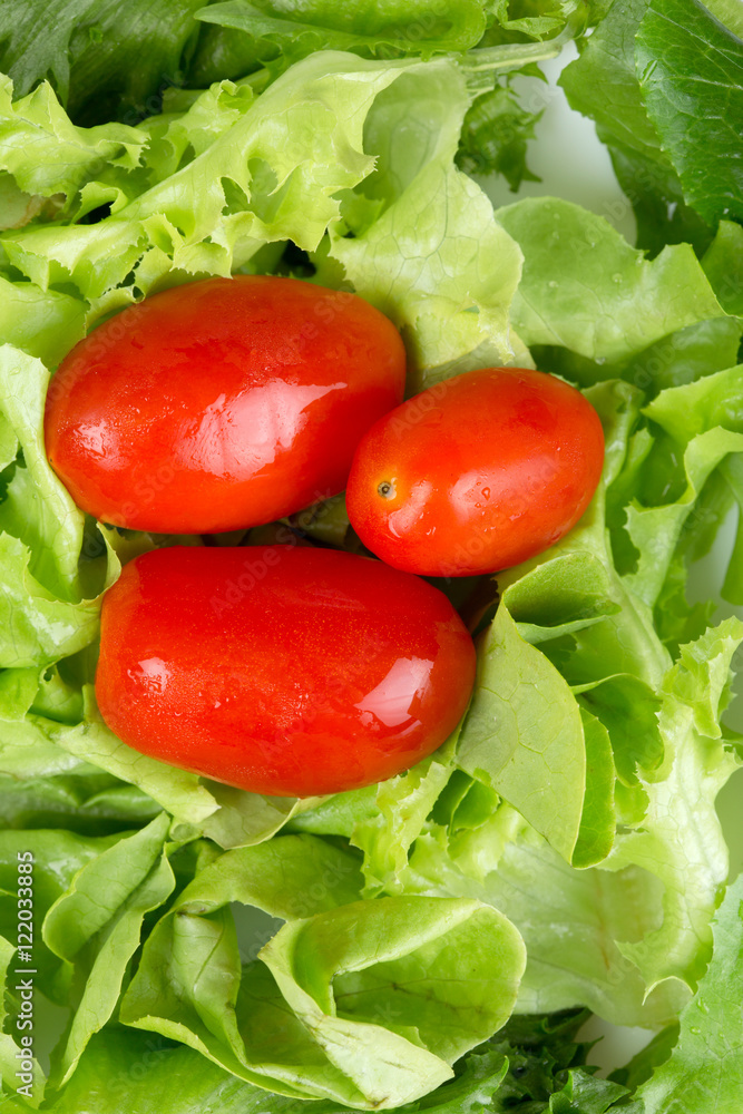 Lettuce with cherry tomatoes in white saucer on a wooden table Lettuce with cherry tomatoes in white saucer on a wooden table