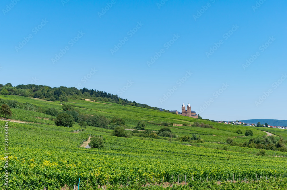Landscape with view at vineyards and the Benedictine Abbey of St. Hildegard on a sunny summer day