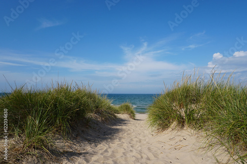 Fototapeta Naklejka Na Ścianę i Meble -  Beach grass with blue sky