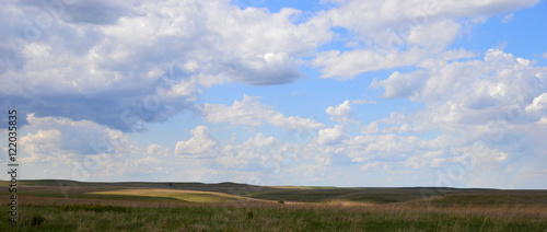 North American Prairie