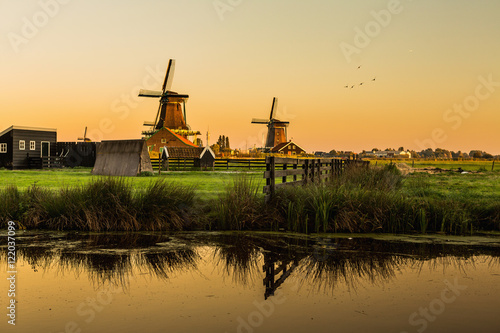 dutch wind mills at historical village "zaanse schans" in holland in sunrise time