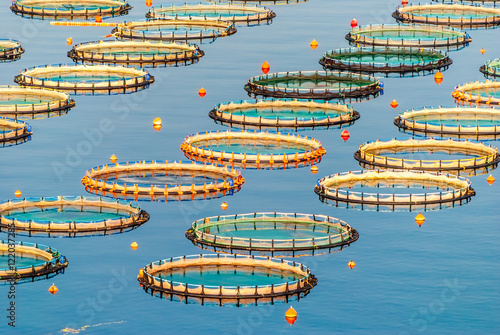 Fish farming in Myrtoan Sea