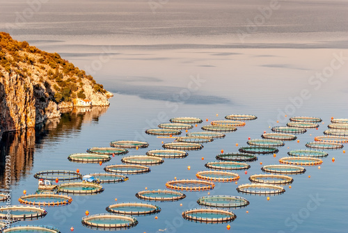 Fish farming near Epidaurus, Greece
