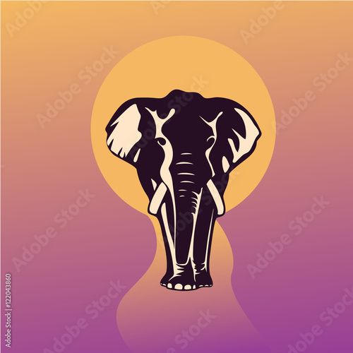 Photography elephant silhouette at sunset