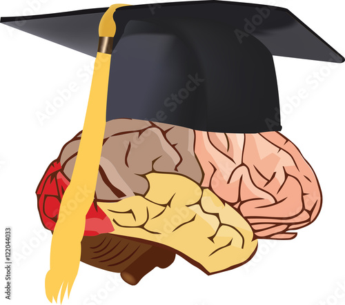 cervello intelligente