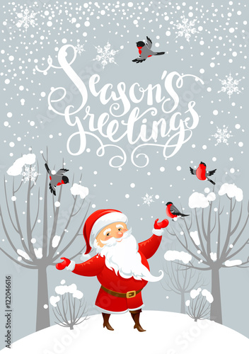 Santa and bullfinches