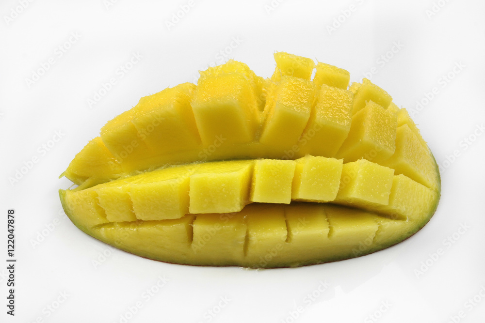 mangue 28092016 mangue 28092016