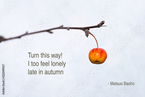 Autumn Crab Apple Haiku photo