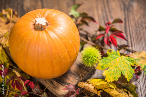 Vibrant autumn seasonal pumpkin