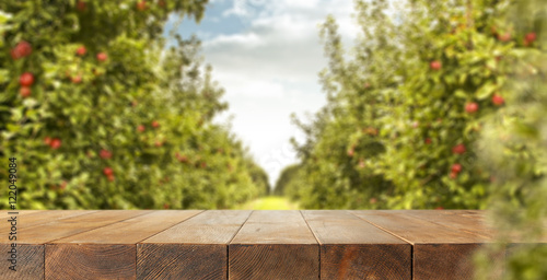 wooden table and trees of apples 