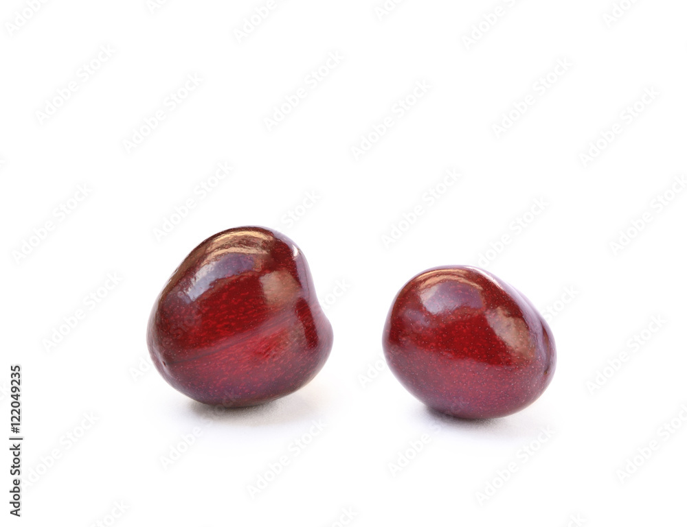 Tasty ripe cherries isolated with white background