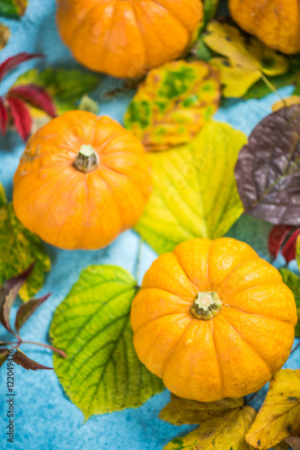 Pumpkins on fall leaves