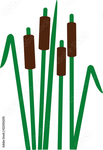 Reed symbol