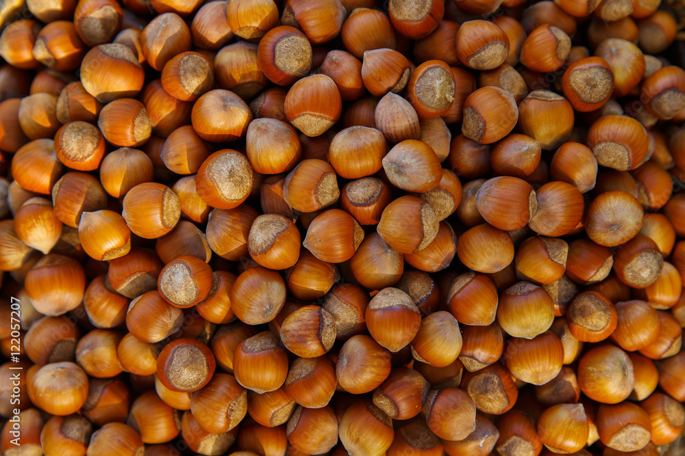 Stack of hazelnuts. Hazelnut background Stack of hazelnuts. Hazelnut background