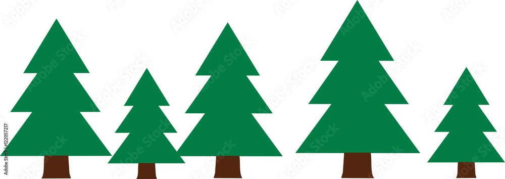Fototapeta premium Row with fir trees wood