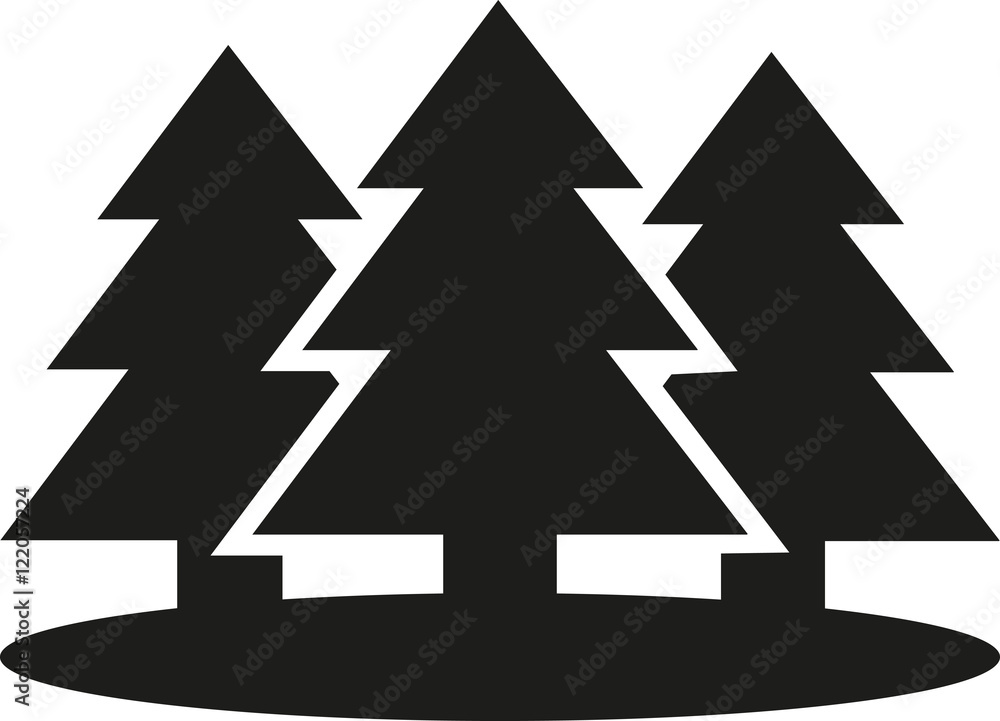 Obraz premium Set of Fir trees