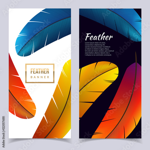 Colorful feather banners set. Beautiful bird feathers composition. Eps10 vector illustration.