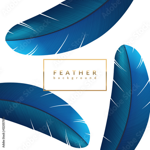 Creative feather background. Exotic bird feathers composition. Eps10 vector illustration.