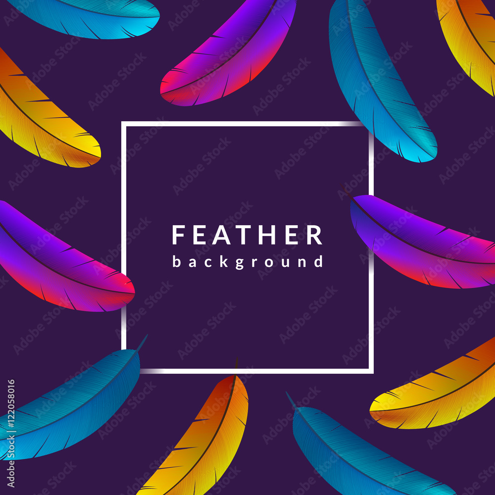Creative feather background. Colorful bird feathers composition. Eps10 vector illustration.