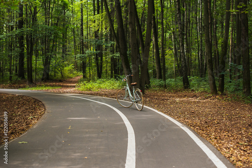 Beautiful bike on the road in a autumn forest