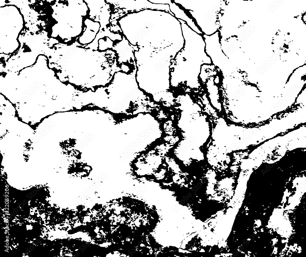 Obraz premium Abstract marble illustration. Vector with marbling textures. Black and white colors.