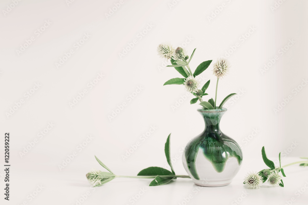 white clover in vase white clover in vase