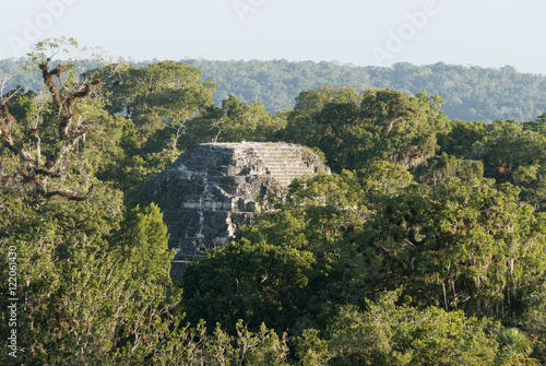 Tikal pryramid mayan guatemala forest peten beautiful nature old travel history historic park stone religion national ruin civilization archeology native rain jungle travel oxygen photo