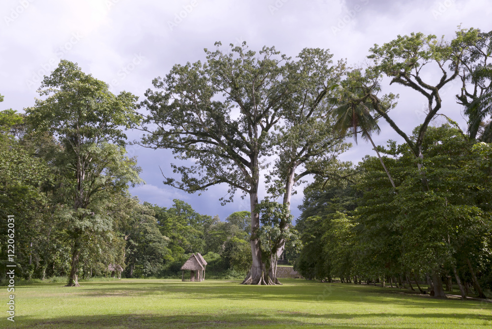 Acropolis and ball court in Quirigua, Gutemala, Latin America