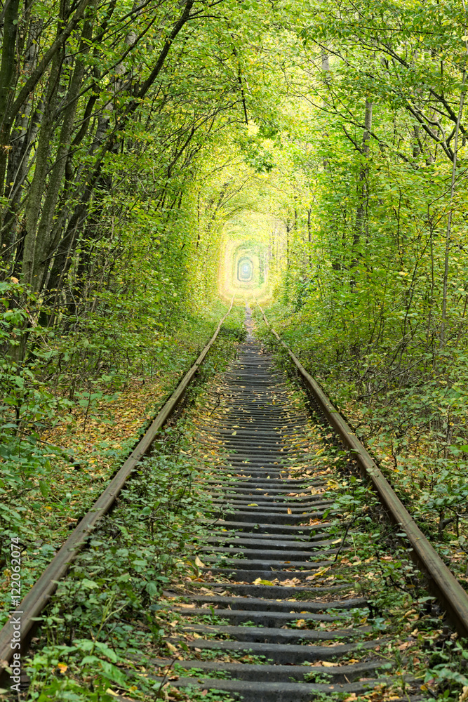 Obraz premium Old railway line. Nature with the help of trees has created a unique tunnel. Tunnel of love - wonderful place created by nature. Klevan. Rivnenskaya region. Ukraine.