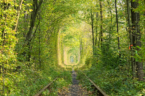 Old railway line.  Very long tunnel of trees creates an unusual alley. Tunnel of love - wonderful place created by nature. Klevan. Rivnenskaya region. Ukraine