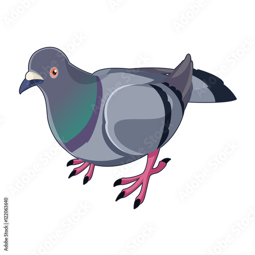 Pigeon isometric icon