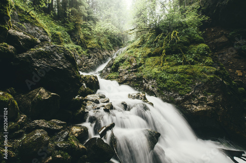 forest stream in wilderness
