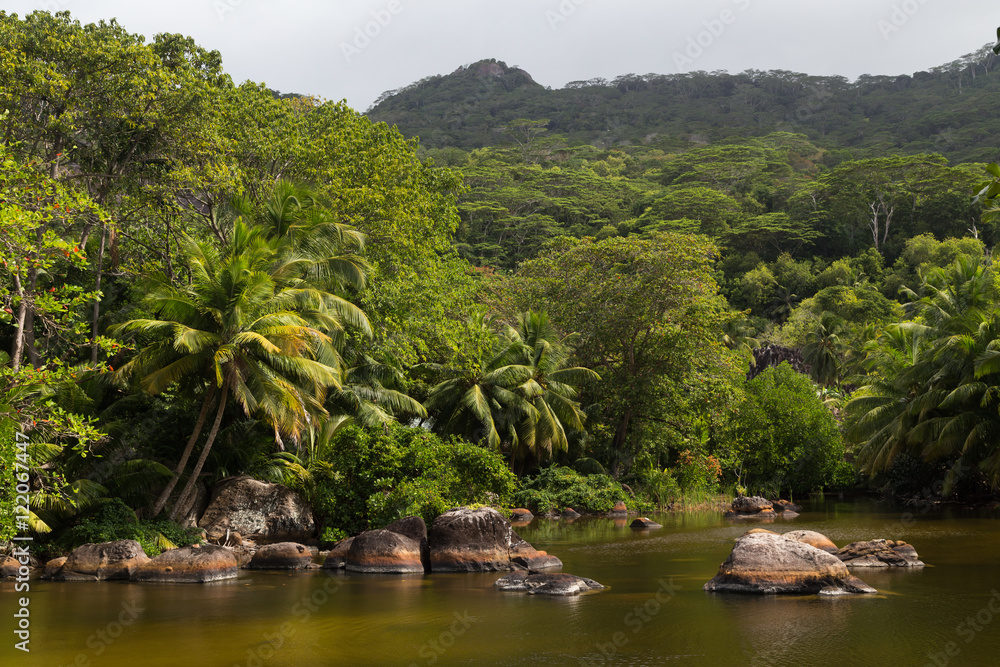 Fototapeta premium Silhouette Island - Tropical Jungle