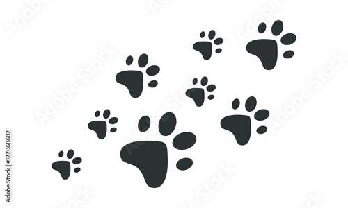 Animal Footprint Vector illustration