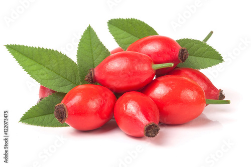 Photos rose hip berry with leaves isolated on white background