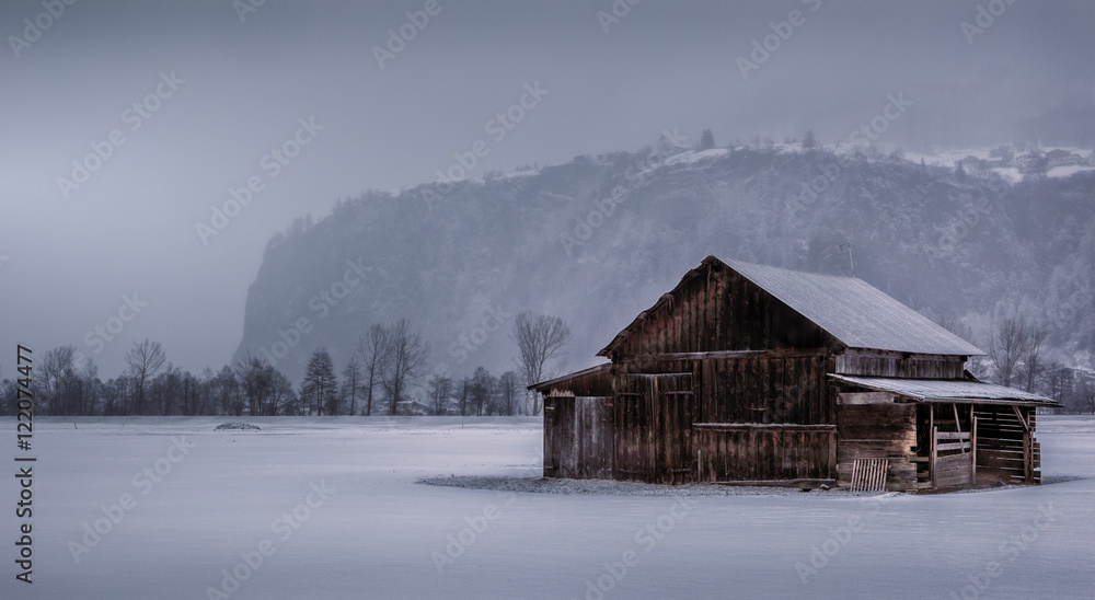 Cow Shed