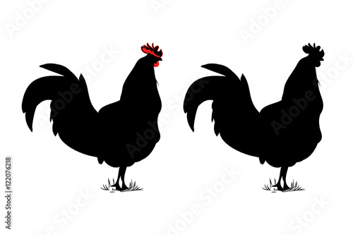 Rooster silhouette vector