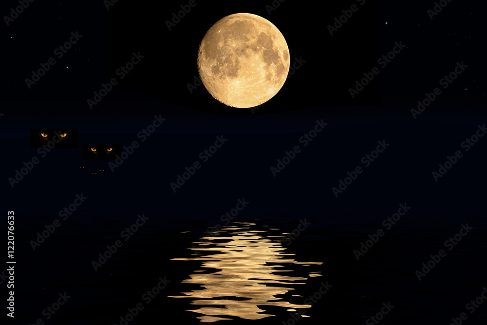 Fototapeta premium Moon and shadows and tigers eye in the dark night.