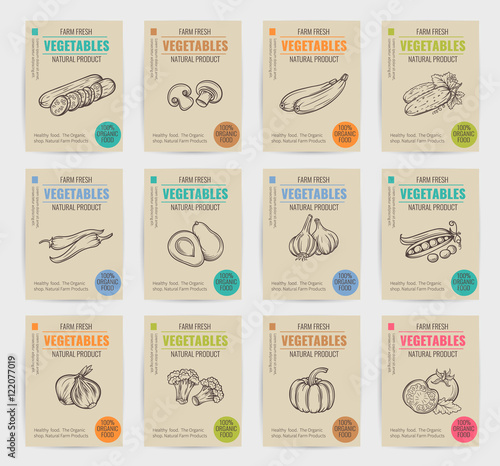hand drawn vegetables posters set