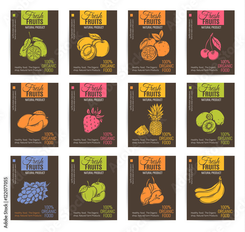 Hand drawn fruits posters set.