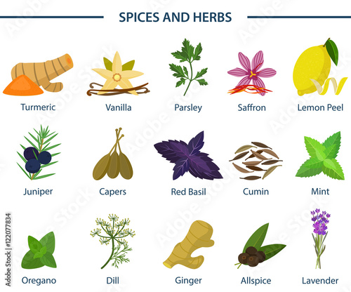 Set of icons of seasoning or spice on plates