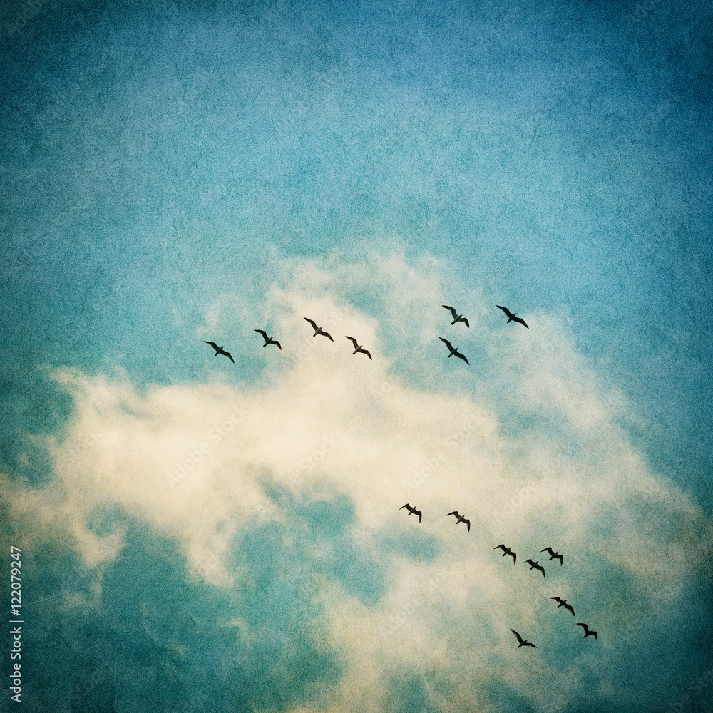 Obraz premium Birds and Clouds. A vintage rendition of flying seagulls and clouds with a textured paper background. Image displays a strong texture and grain pattern.