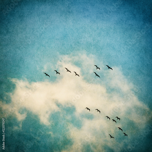 Birds and Clouds. A vintage rendition of flying seagulls and clouds with a textured paper background. Image displays a strong texture and grain pattern.
