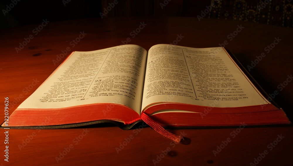 Large open Vietnamese Bible with subdued background. Large open Vietnamese Bible with subdued background.